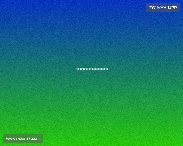 赛事管理职责核心内容解析与实践执行策略探讨